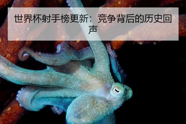 shi-jie-bei-she-shou-bang-geng-xin-jing-zheng-bei-hou-de-li-shi-hui-sheng-2-925.jpg